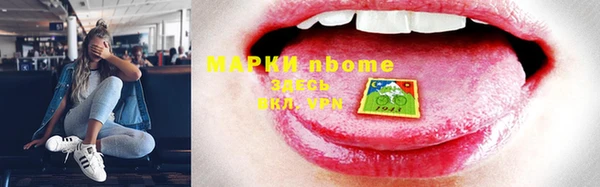 гашик Алексин