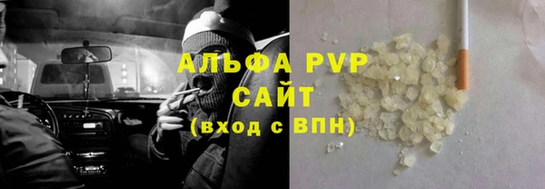 гашик Алексин