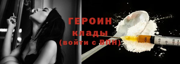 гашик Алексин