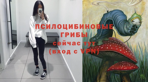 МДПВ Армянск