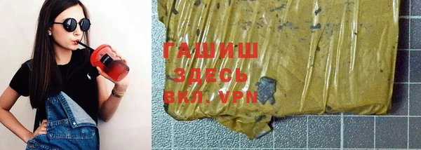 гашик Алексин